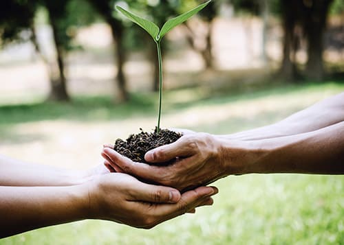 Laboratório de Produção e Meio Ambiente (LaProMA)