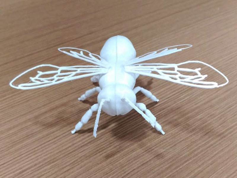 Projeto de Ciências Biológicas de Abelha impressa em 3D