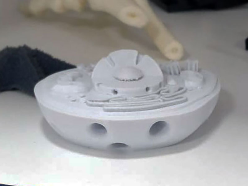 Ciências Biológicas: Célula Animal Impresas em 3D