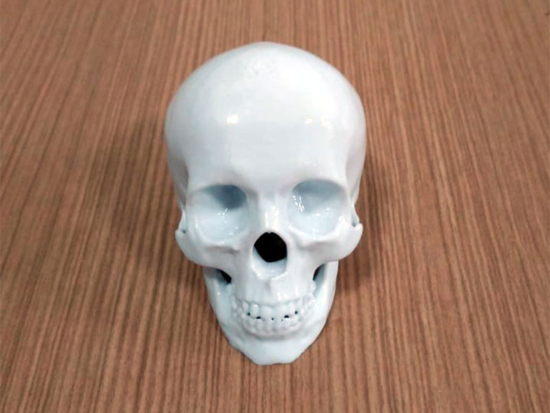 Ensino: Crânio impresso em 3D