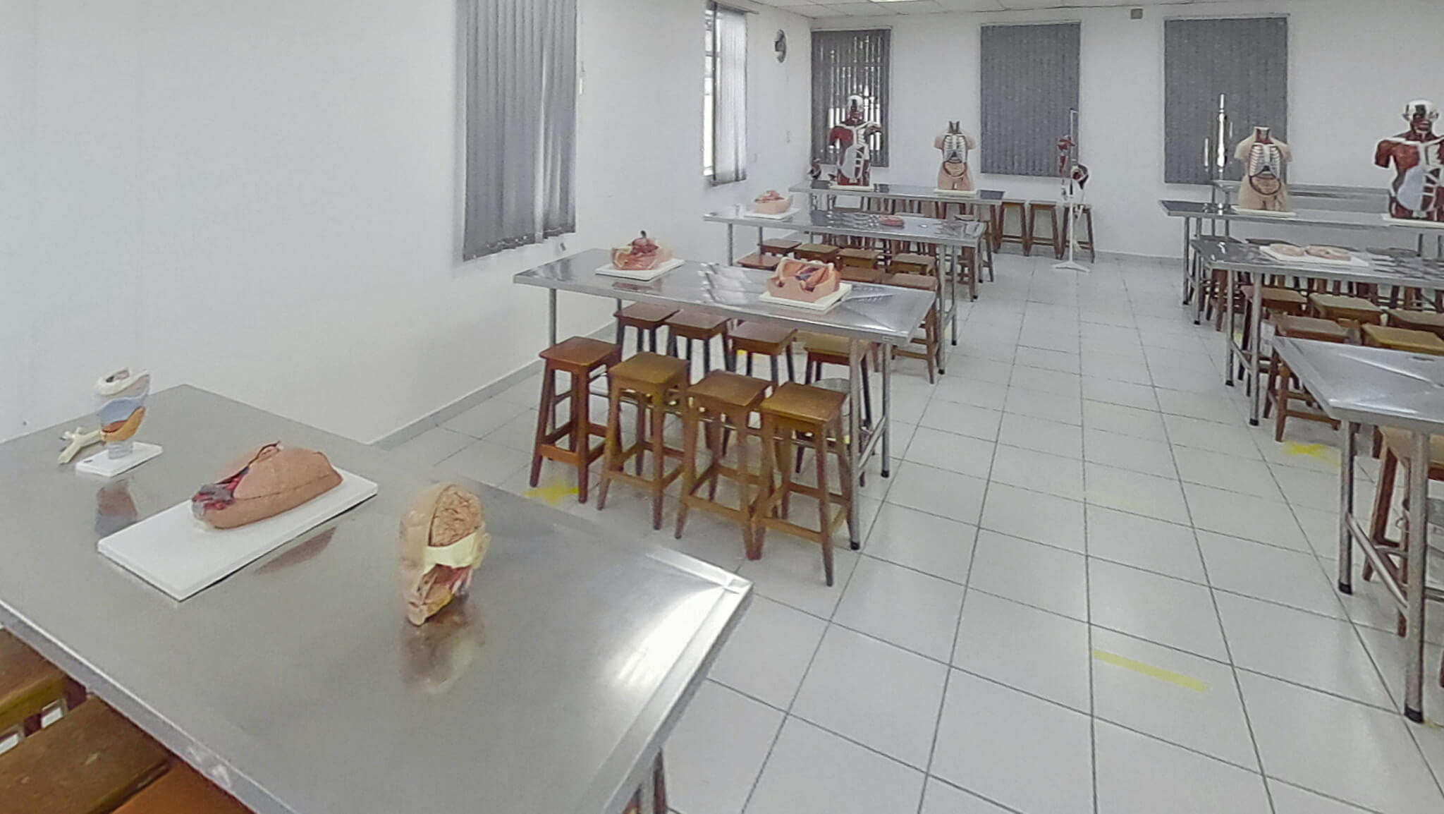 Laboratório de Anatomia da UNIP